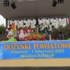 Obraz_1761