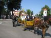dozynki_2009_37