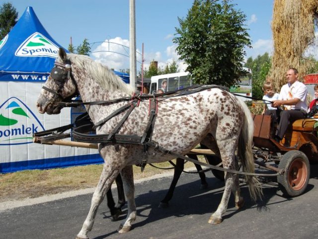 dozynki_2009_cz2_74